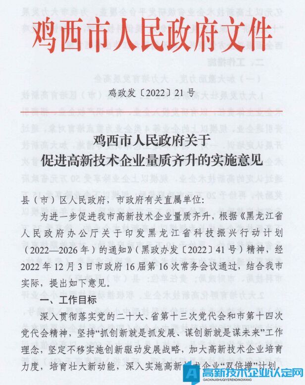 鸡西市高新技术企业奖励政策：鸡西市人民政府关于促进高新技术企业量质齐升的实施意见