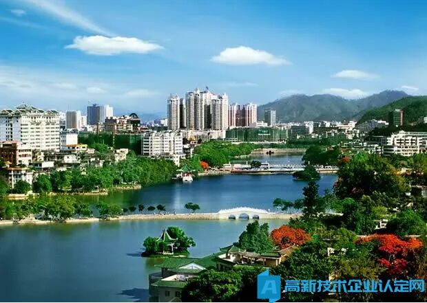 2024年惠州市各区县高新技术企业奖励政策汇总