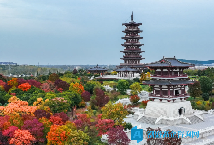 2026年宿州市各县区高新技术企业奖励政策汇总 2026年宿州市各县区高新技术企业奖励政策汇总