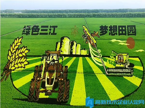 大庆市农业企业可以申报高新技术企业么？需要什么条件？有哪些政策扶持？