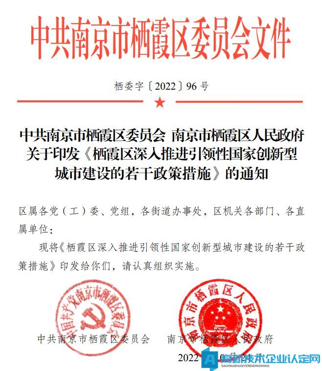 南京市栖霞区高新技术企业奖励政策：栖霞区深入推进引领性国家创新型城市建设的若干政策措施